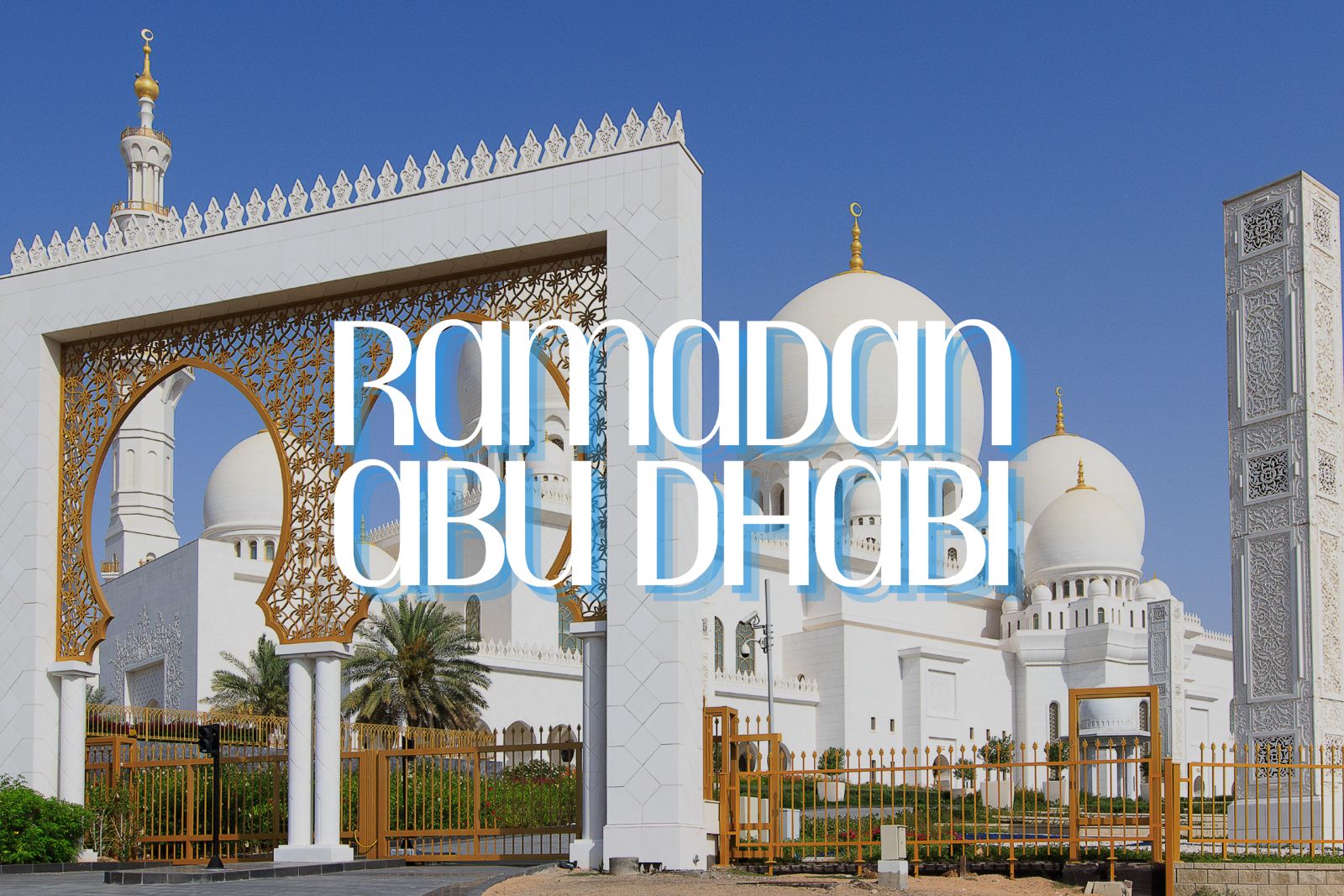 WhatsApp Image 2026 02 16 at 6