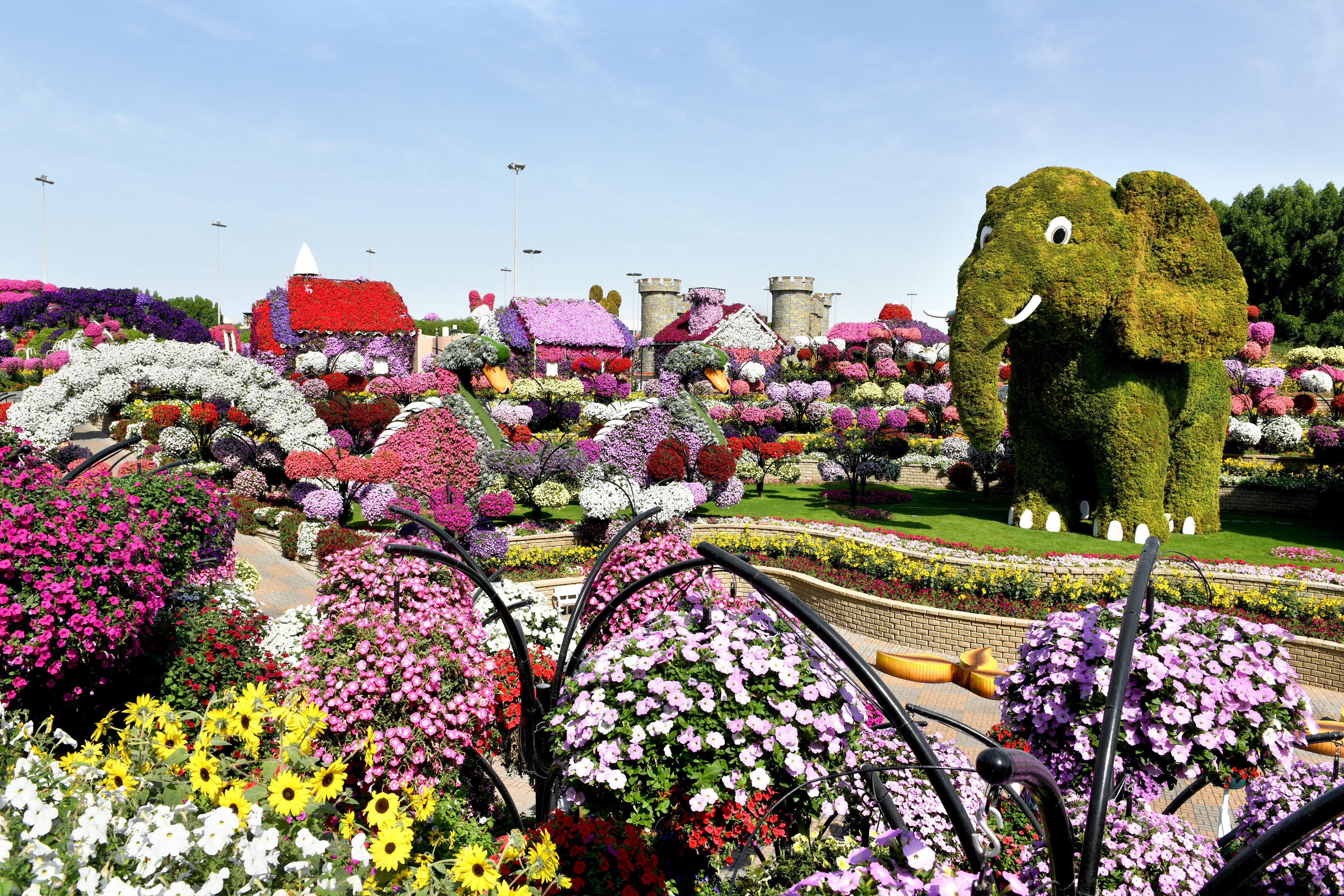 Dubai Miracle Garden